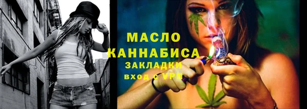 индика Арсеньев