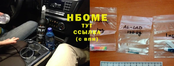 индика Арсеньев