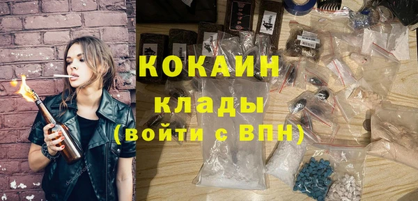 индика Арсеньев