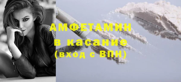 индика Арсеньев