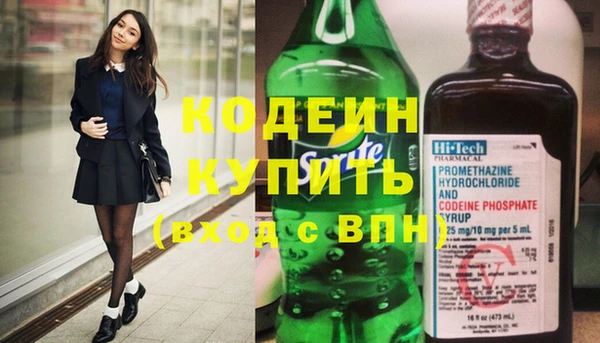 индика Арсеньев