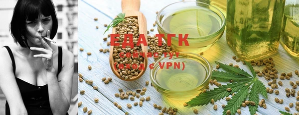 индика Арсеньев