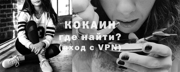 индика Арсеньев